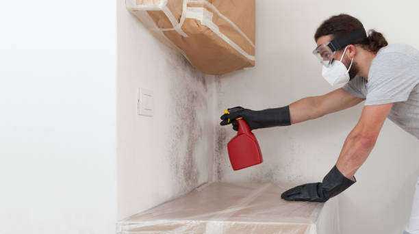 Professional Bathroom Mold Removal technician working in New Providence, PA