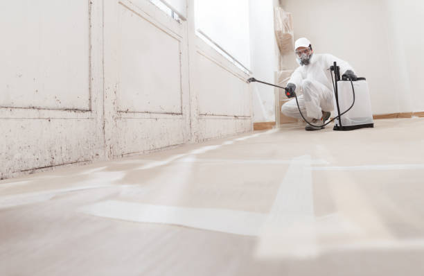 24/7 Emergency Bathroom Mold Removal experts in New Providence, PA