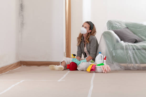 Reliable Bathroom Mold Removal contractor in New Providence, PA by WQB Mold Removal