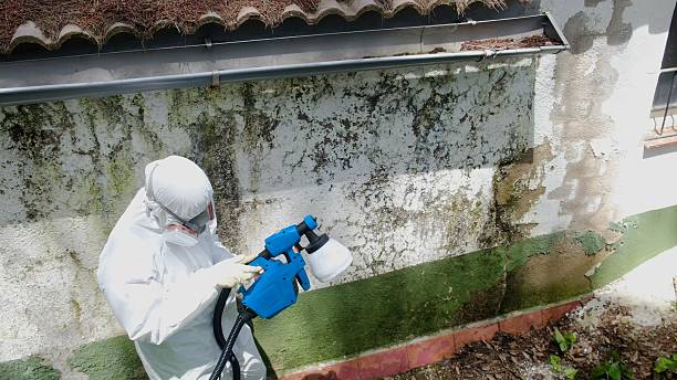 Top rated local Bathroom Mold Removal specialists in New Providence, PA